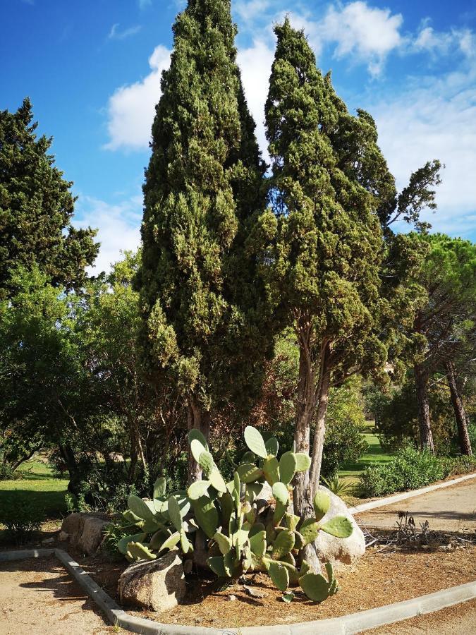 Residence Cala Sultana -Baie Santa Giulia - Rez Jardin 1Ere Ligne Porto-Vecchio  Eksteriør billede