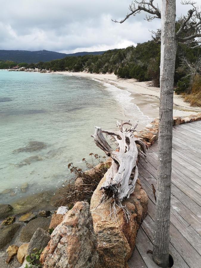 Residence Cala Sultana -Baie Santa Giulia - Rez Jardin 1Ere Ligne Porto-Vecchio  Eksteriør billede